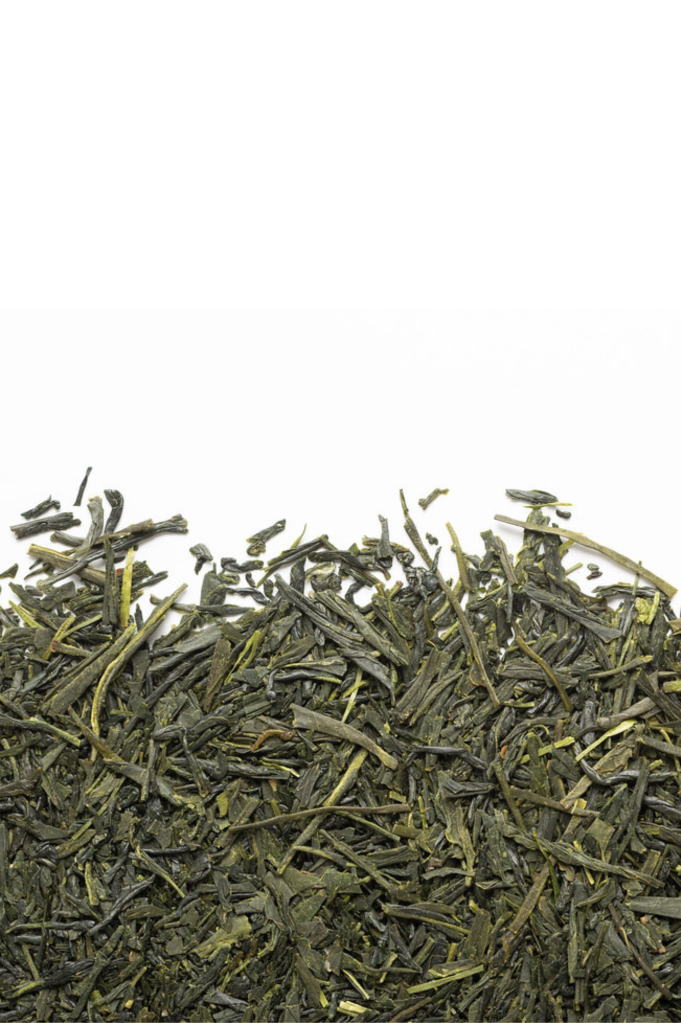 Thé - Sencha Nagashima - Camellia