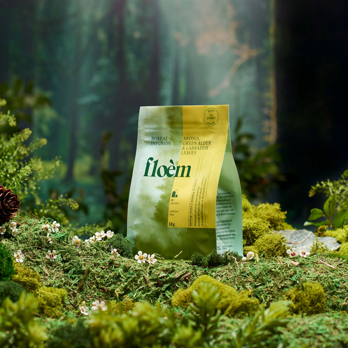 Aronia, aulne et feuilles du Labrador - Floèm